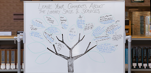 Photo of whiteboard in library with tree draw and comments written in the leaves